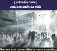 /album/juntos-chegaremos-la/a1-arvores-jpg/
